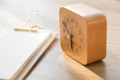 弃豚词语解释大全